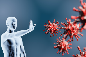 How the immune system works