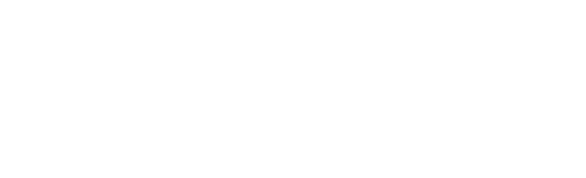 Apportal® Boost
