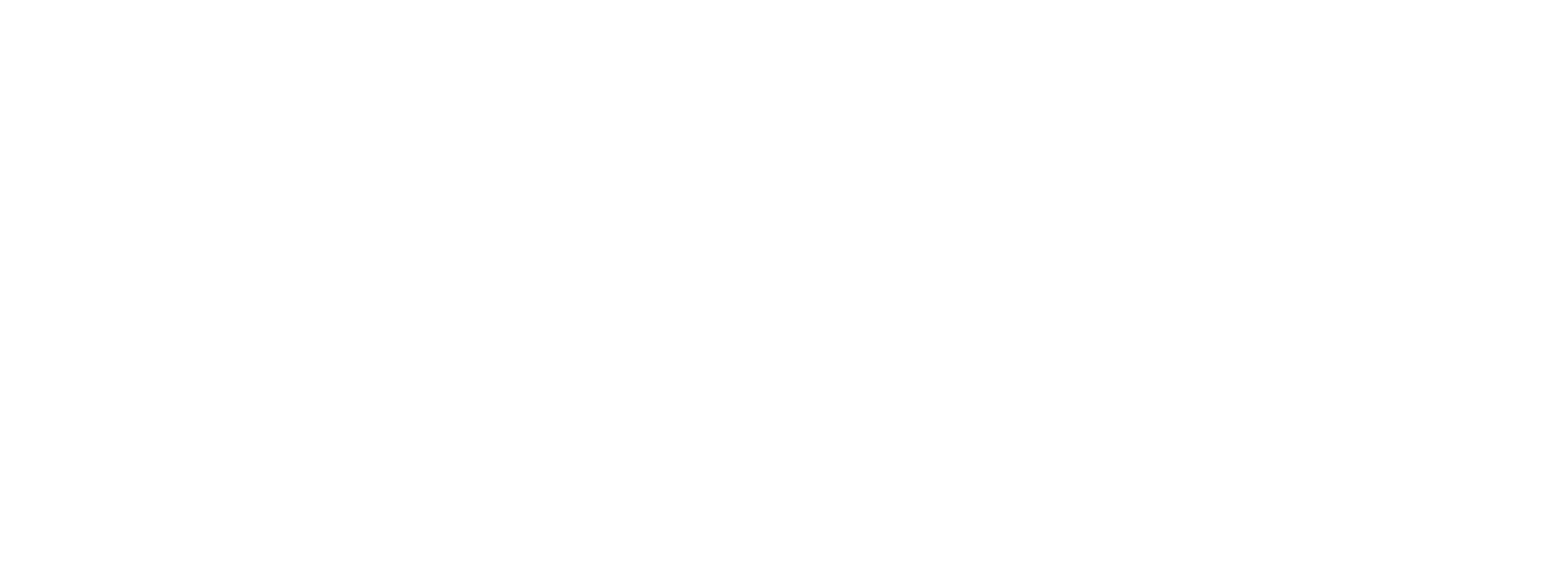 Apportal® Boost