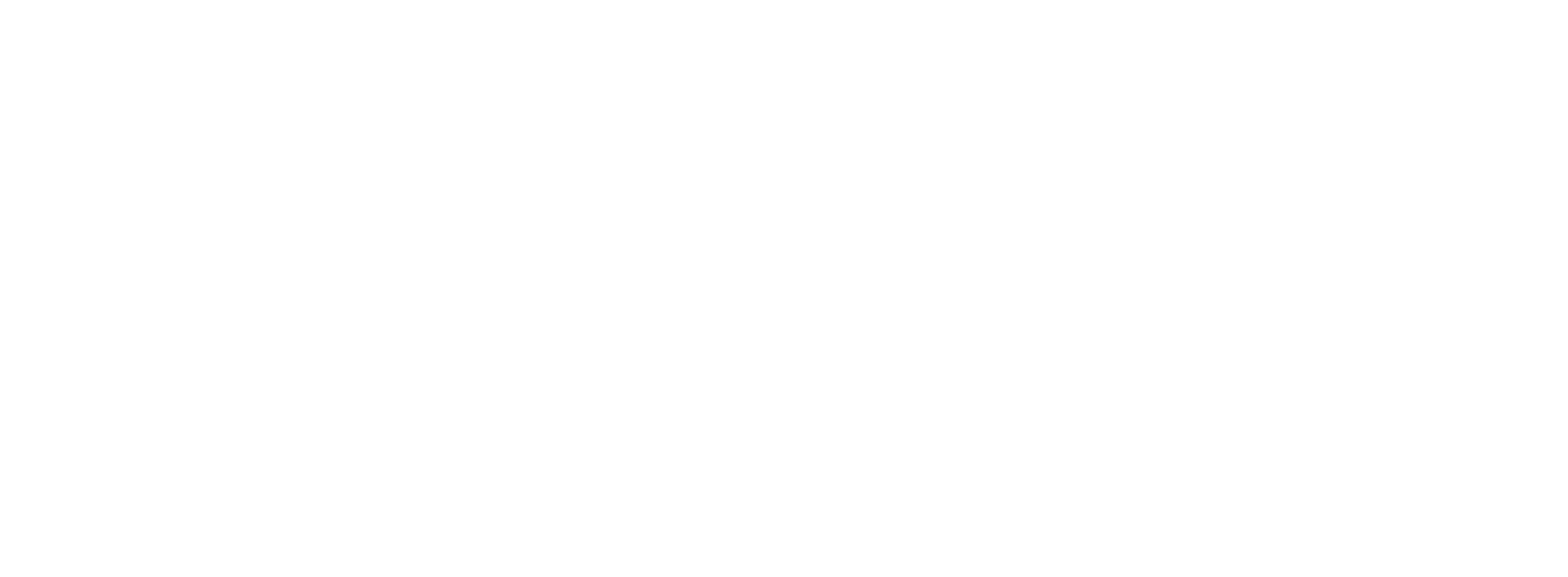 Apportal® Master